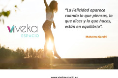 2_Plantillas_Carteles_VIVEKA_Espacio